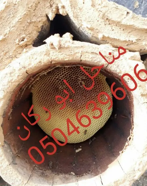 عسل سدراصلي عشرين الف اذا اتضح عليه تغذيه (image 6)