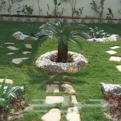 مشتل  درة الجزيرة  (image 8)