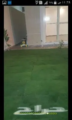 ثيل وزرع جميع المسطحات (image 2)