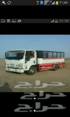 ابوالتومات