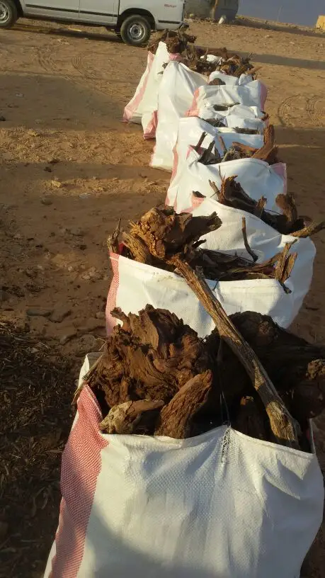 اخياش حطب نظيف