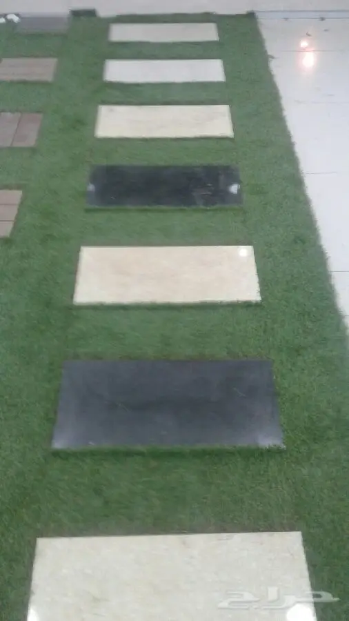 مشتل  درة الجزيرة  (image 1)