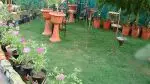 زراعه (image 2)
