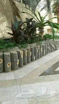 زراعه (image 1)