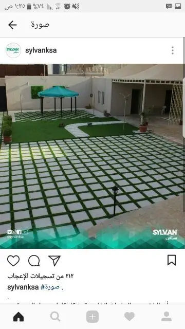 مشتل درة الجزيرة  (image 4)