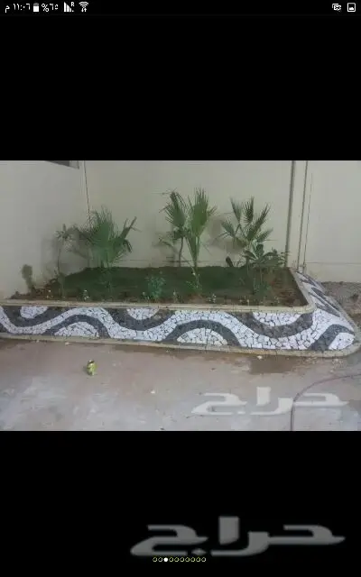 زراعه (image 9)