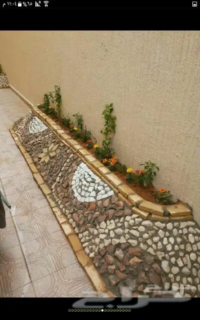 زراعه (image 8)