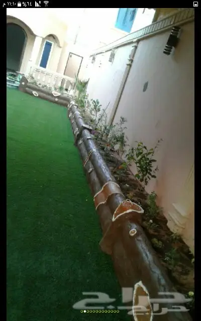 زراعه (image 6)