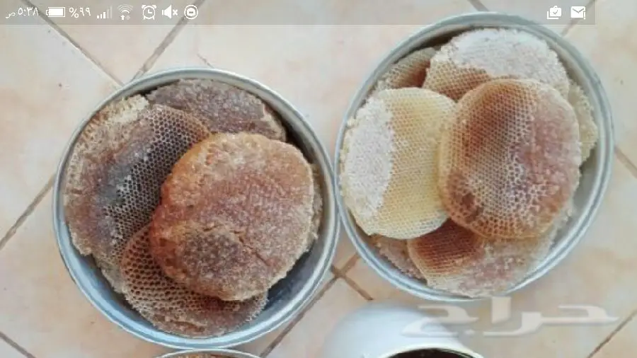 عسل سدر بري طبيعي ومفحوص ونسبة السكر((صفر))