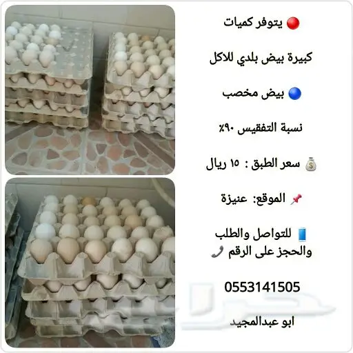 لبيع بيض ابو عبدالمجيد (image 1)