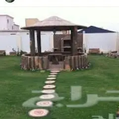 القويعية  (image 80)