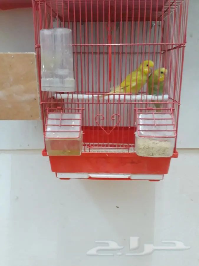 فرصة استثمارية رائعة! (فرصة بيع أو بدل) (image 4)