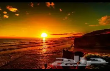 مقاولات عامة ورق جدران 3Dmxجديد ديكورات جبسية (image 82)
