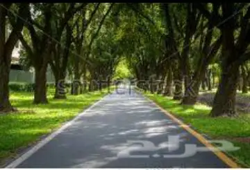 مقاولات عامة ورق جدران 3Dmxجديد ديكورات جبسية (image 103)