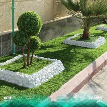 مشتل درة الجزيرة  (image 2)