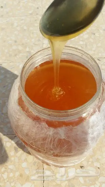 عسل طبيعي ظهوري
(image 5)