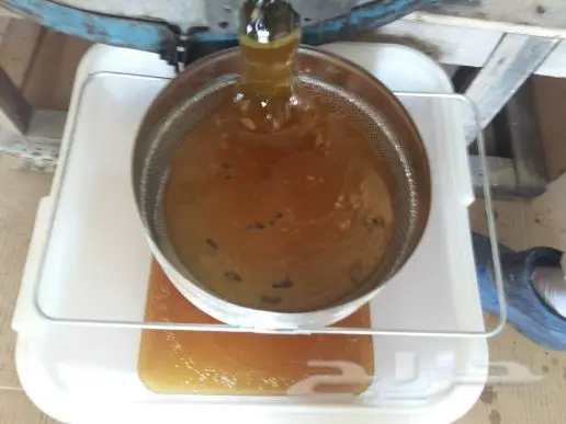 عسل طبيعي ظهوري
(image 7)