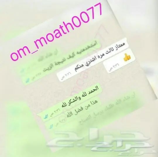 زيت بذرة الكتان للشعر (image 2)