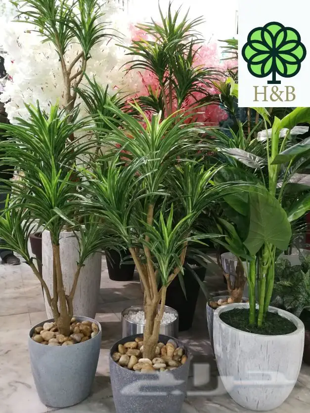 نبتات بلاستيك 