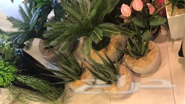 للبيع المستعجل  (image 1)