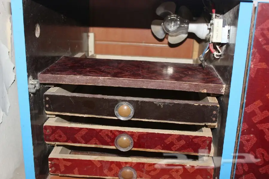 فقاصه (image 4)