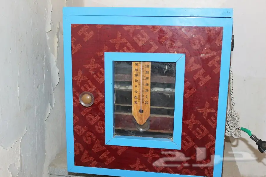 فقاصه (image 5)