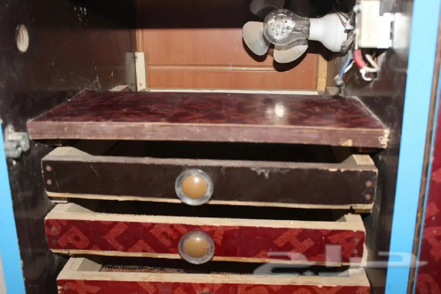 فقاصه (image 2)