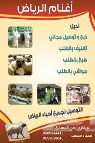 ذبايح طازجة ومجمدة - توصيل مجاني! (image 4)