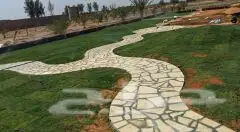 ابو معتز: تنصيق الحدائق وتركيب الحجر - خبرة وكفاءة (image 4)