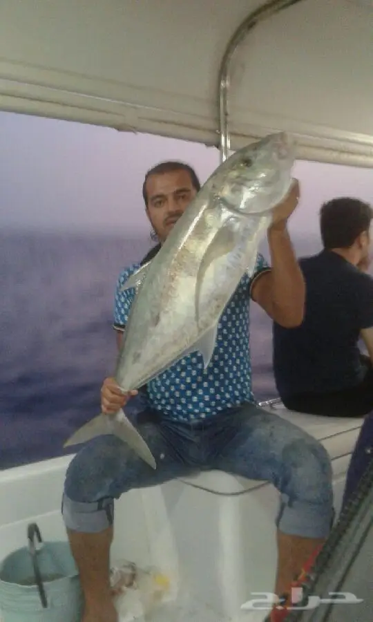 رحلات بحرية صيد نزهة وسباحة (image 10)