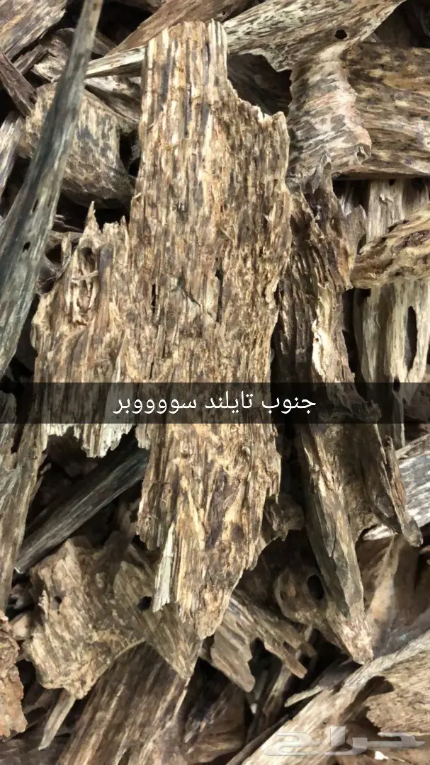 عودالغابات الماليزيه بجميع انواعه واصنافه ودر 13
