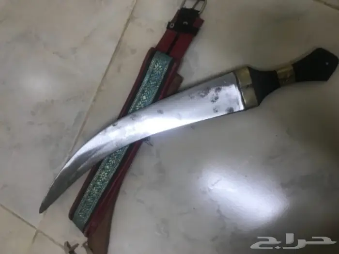 للبيع ذريع  2