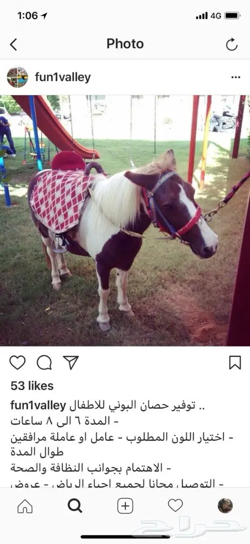 تاجير جمال احصنة بوني اطفال حصان ركوب حنطور 0