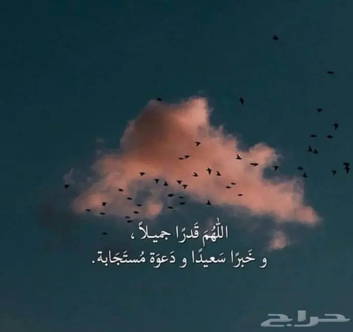 كتابة وبيع القصايد وعمل الشيلات 0