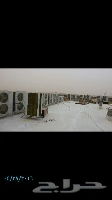 القيصومه _ حفر الباطن  4