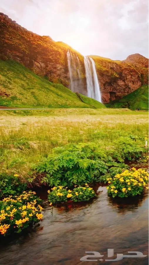 شركة دعايه وإعلان وتصميم لوحات وعموله لمن يجيب لنا عقود عمل 0