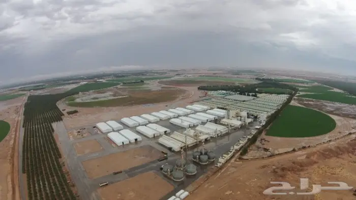 تصوير جوي للمخططات والاستراحات والمزراع 2