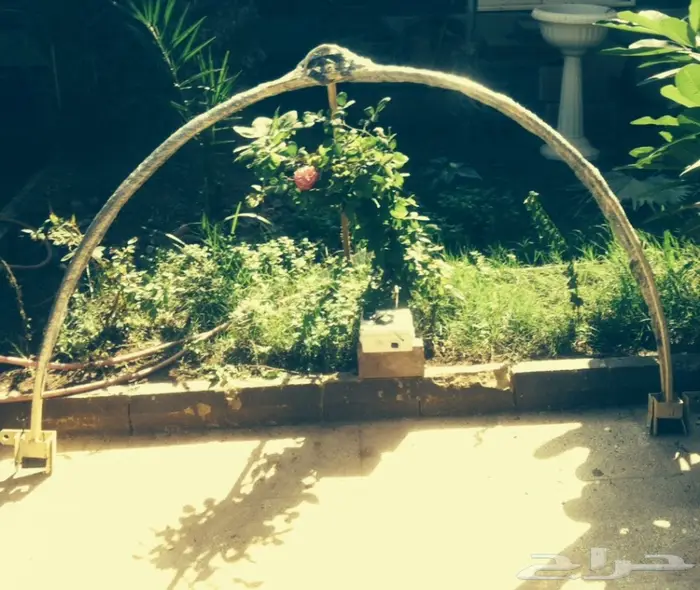 شبكات صيد بالريموة(2) مترفي(2) مترجديده 2