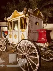 تأجير حنطور - سيسي - حصان - فرس - جمال -عربات 6