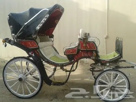 تأجير حنطور - سيسي - حصان - فرس - جمال -عربات 3