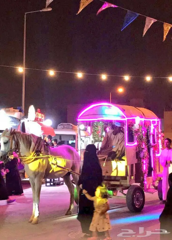 تأجير حنطور - سيسي - حصان - فرس - جمال -عربات 5