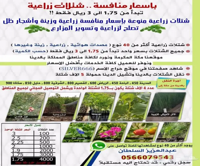 شتلات أقل الاسعار ريال ونصف للشتله 0566079543 25