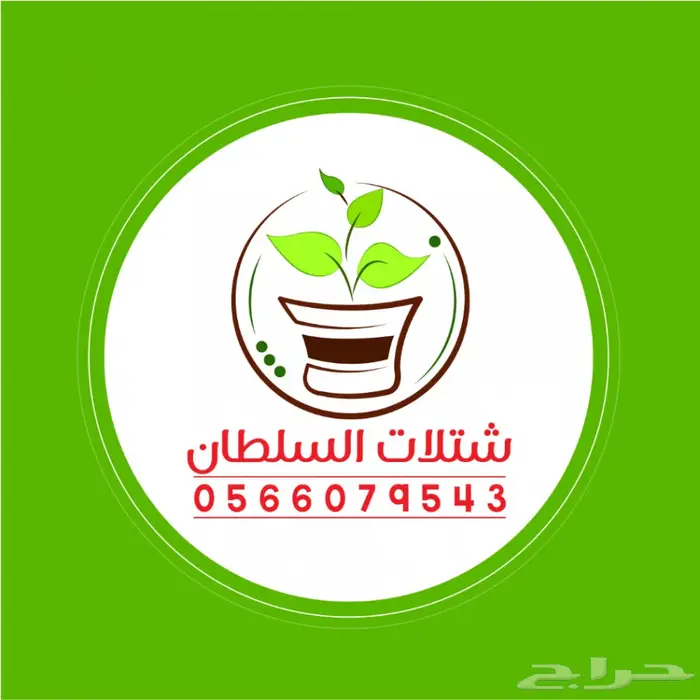 شتلات أقل الاسعار ريال ونصف للشتله 0566079543 0
