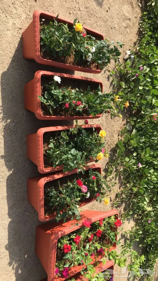 تنسيق حدائق وخدمات زراعية 9