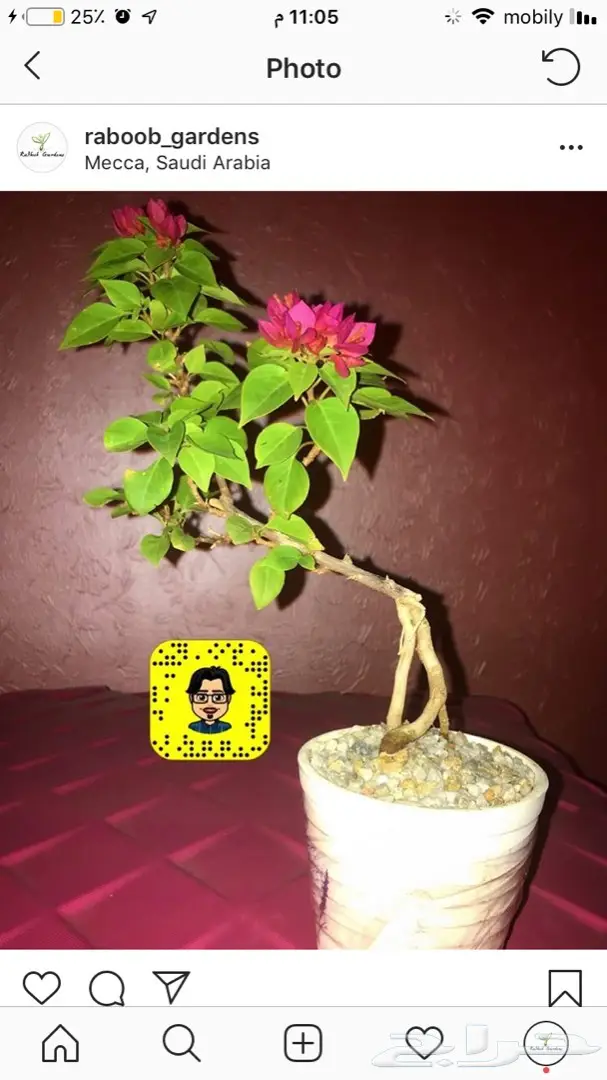 تنسيق حدائق وخدمات زراعية 31