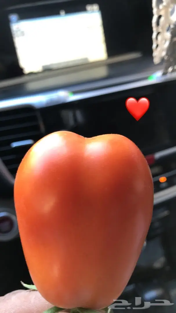 تنسيق حدائق وخدمات زراعية 35