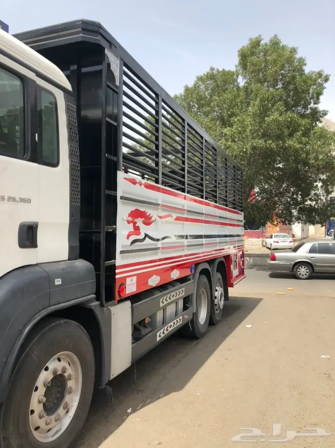 مركز النور لتصنيع شبوك وصناديق الدينات 26