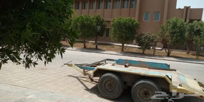 قلص بوب كات 12