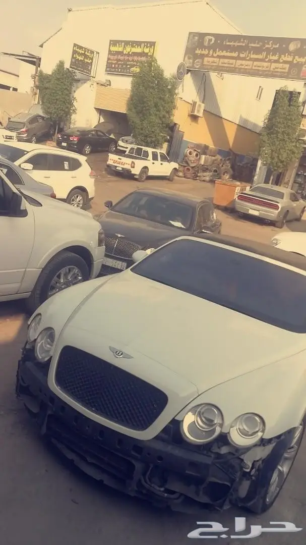 صدام بنتلي 29