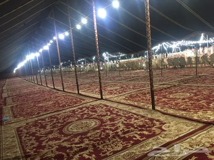 شبكة الافراح 5